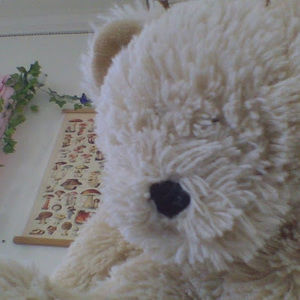 Meet your Posher, Lovisa